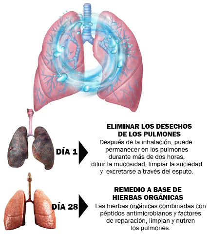 OnNature® Spray nasal de limpieza pulmonar